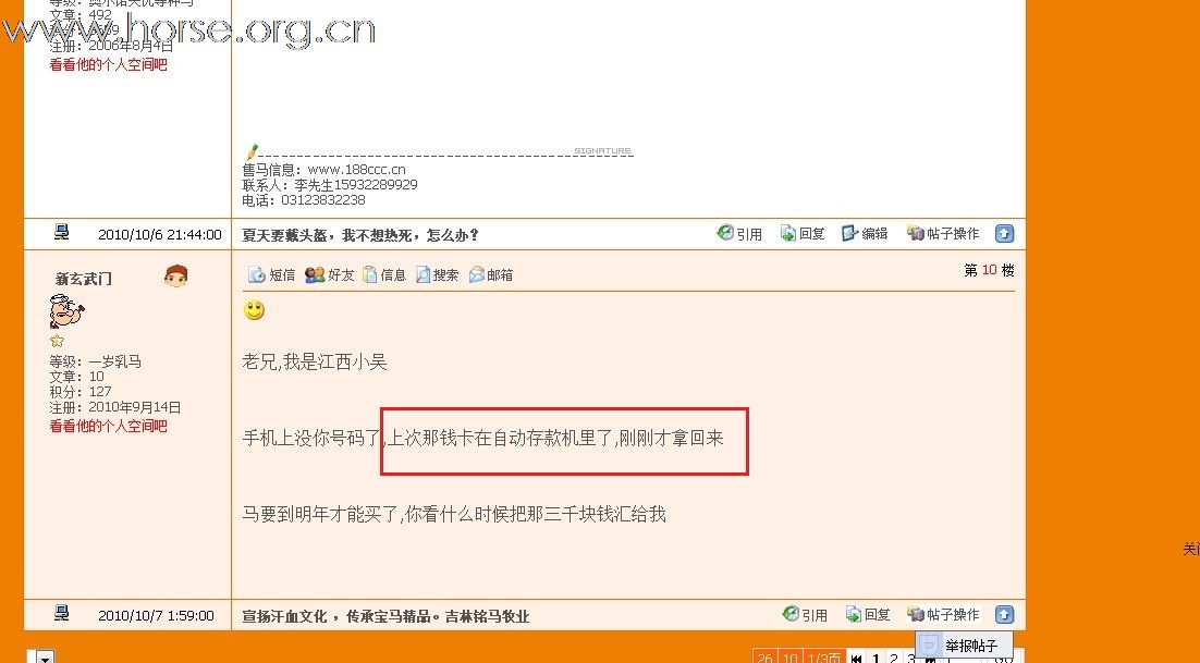 请大家小心【打造全国马匹最低价】【常年出售各品种骏马】【京南涿州】