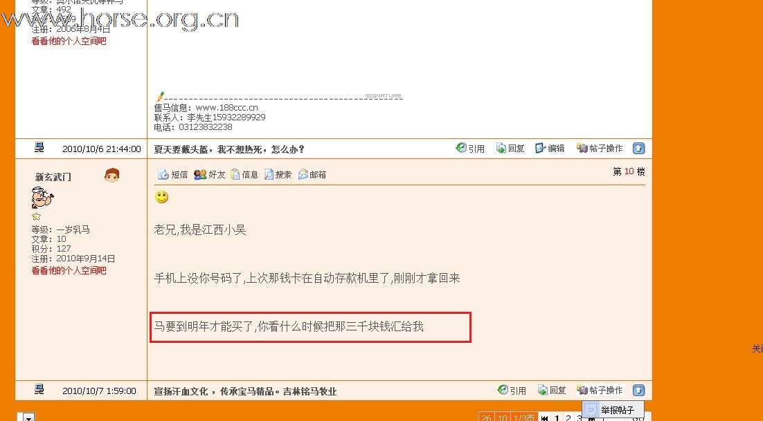 请大家小心【打造全国马匹最低价】【常年出售各品种骏马】【京南涿州】