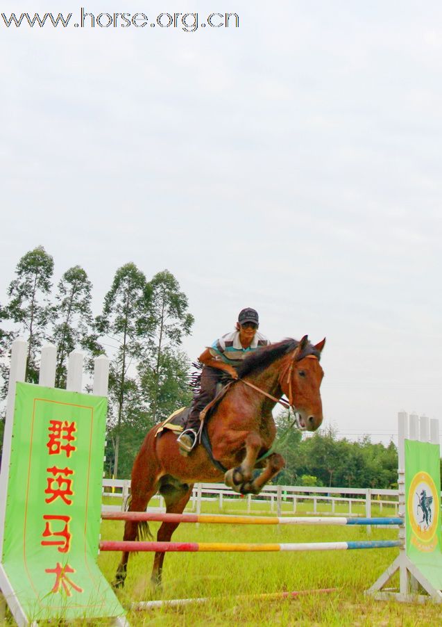 南宁群英会马术俱乐部启事