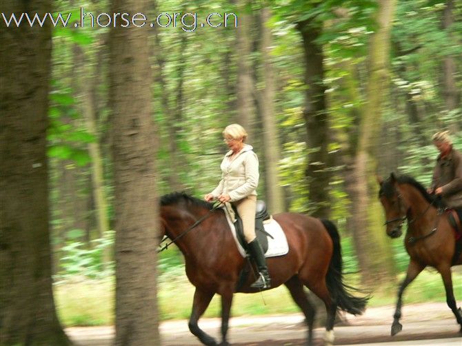 在奥地利一公园里的骑马人