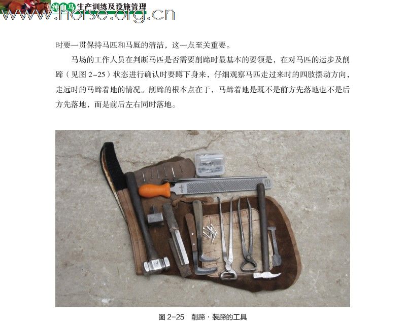 中国首部纯血马训练专著首发仪式26日举行，欢迎参加