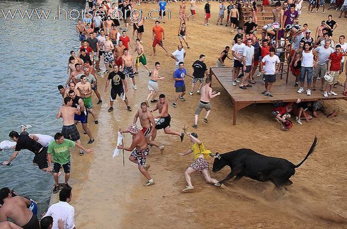 牛的老祖宗開罪了西班牙人