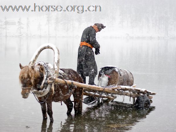 蒙古的游牧民族