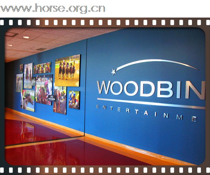 晓光手记：多伦多woodbine赛马场走马观花