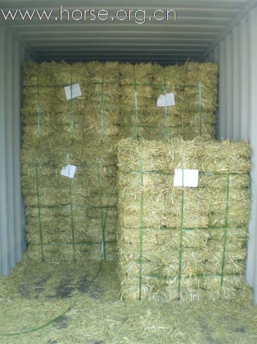 好马好草好回报、