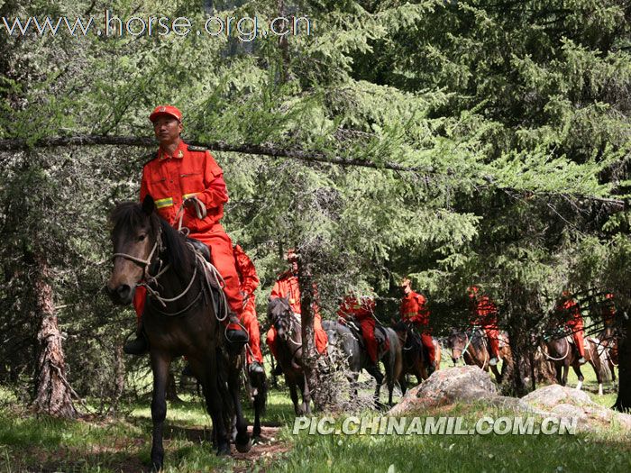 阿勒泰地区森警骑兵分队原始林区训练