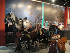 京城一家新马具店落户京城---购物骑马一日游