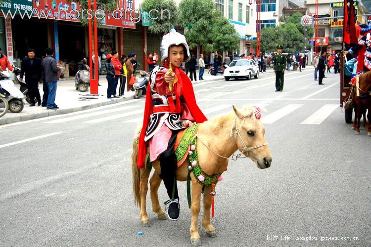 [贴图]广西德保红枫旅游节巡游中的马队