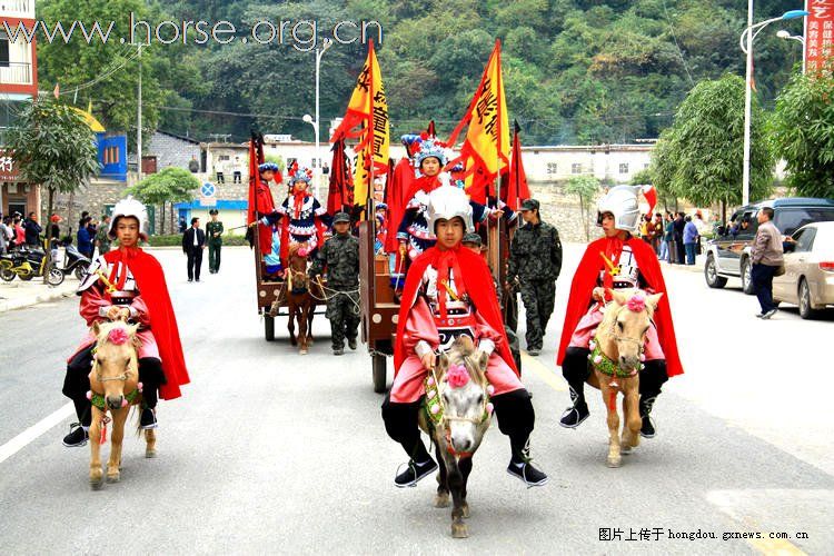 [贴图]广西德保红枫旅游节巡游中的马队