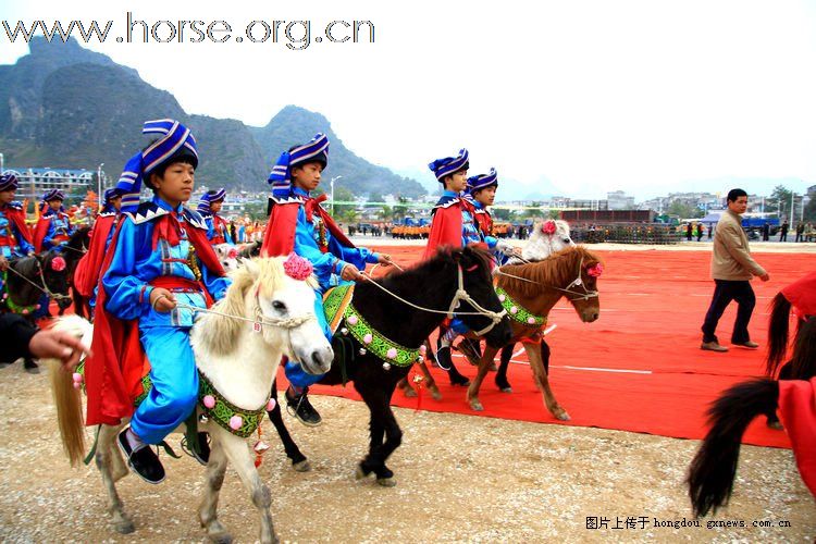 [贴图]广西德保红枫旅游节巡游中的马队