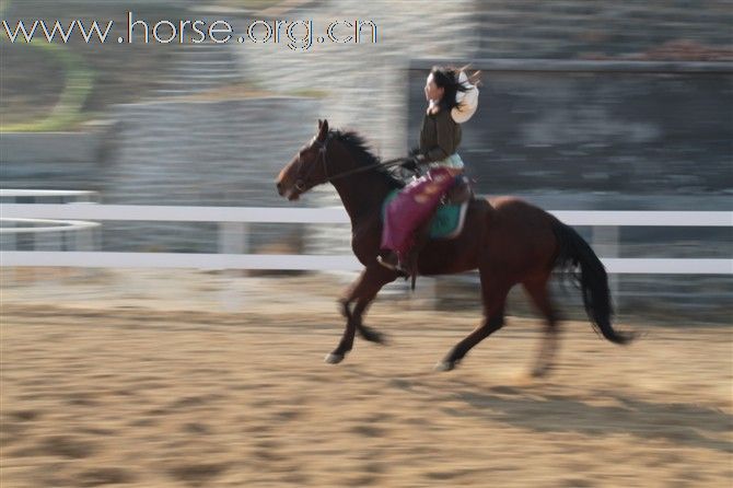 济南金秋艳阳下在马语者策马驰骋的活力女牛仔