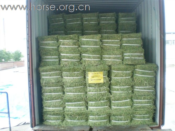 好马好草好回报