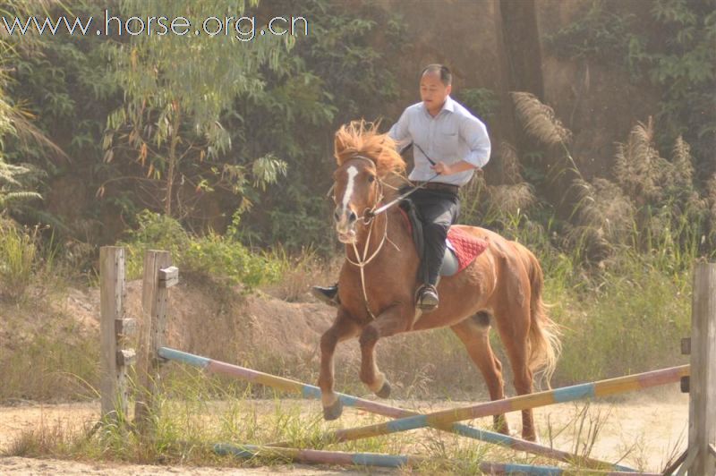 亚运行之二21号深圳白龙驹农场行