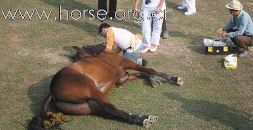 【转】广州亚运：现代五项，骑手坠马，赛马死亡