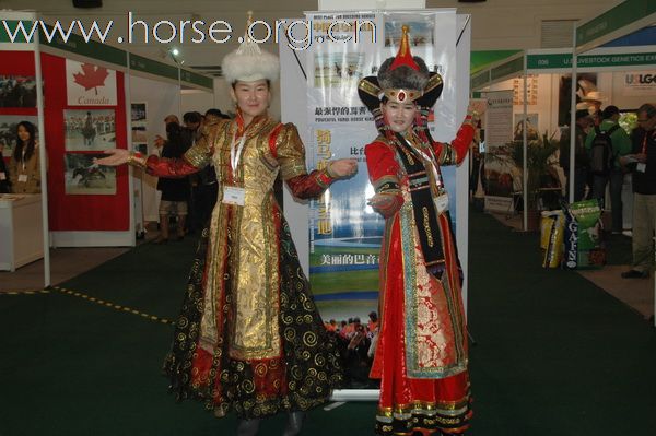 中国国际马展上的巴州特色