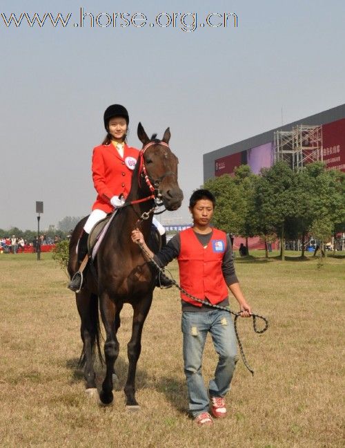 万江雄赞助武汉马模全套马术服装