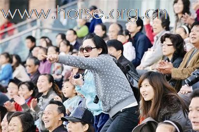 武汉锦标赛国产马大胜英纯血