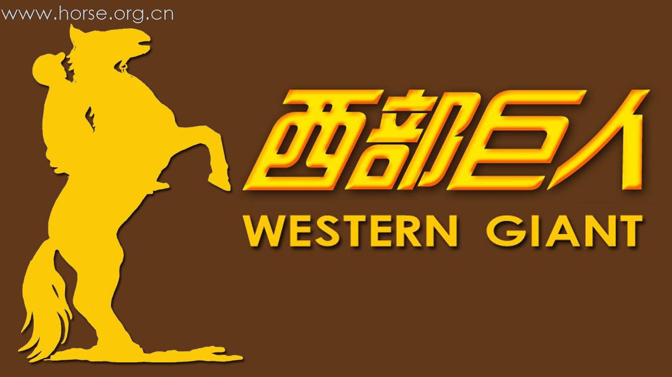 诚挚感谢2010官厅耐力赛赞助商—西部巨人马具