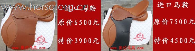 折上折 礼上礼 奥伦马具迎圣诞促销活动