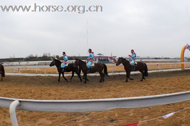 2010-12-12 辉煌骑马场比赛照片