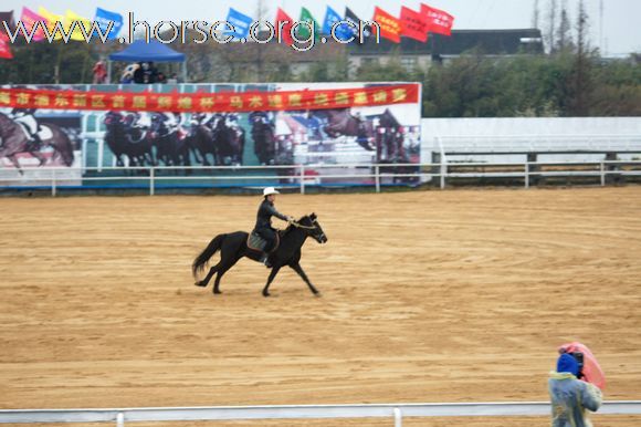 2010-12-12 辉煌骑马场比赛照片