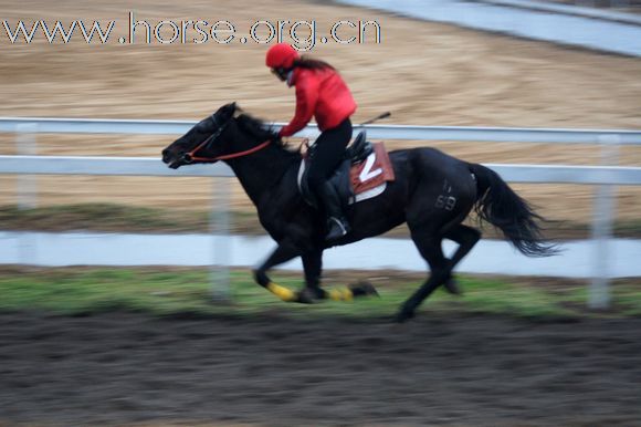 2010-12-12 辉煌骑马场比赛照片