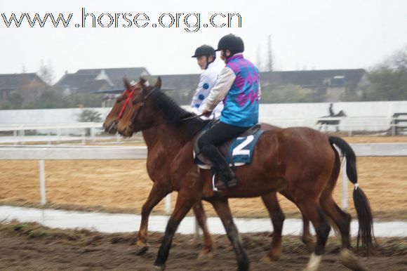 2010-12-12 辉煌骑马场比赛照片
