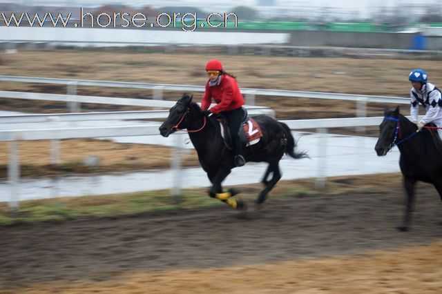 2010-12-12 辉煌骑马场比赛照片