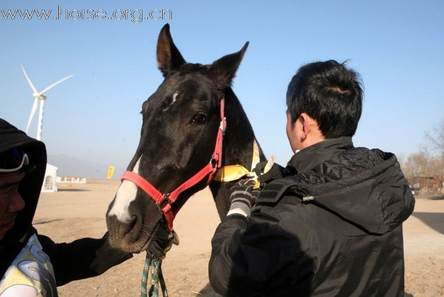 清心山马术俱乐部出征2010年耐力赛日志（17日）