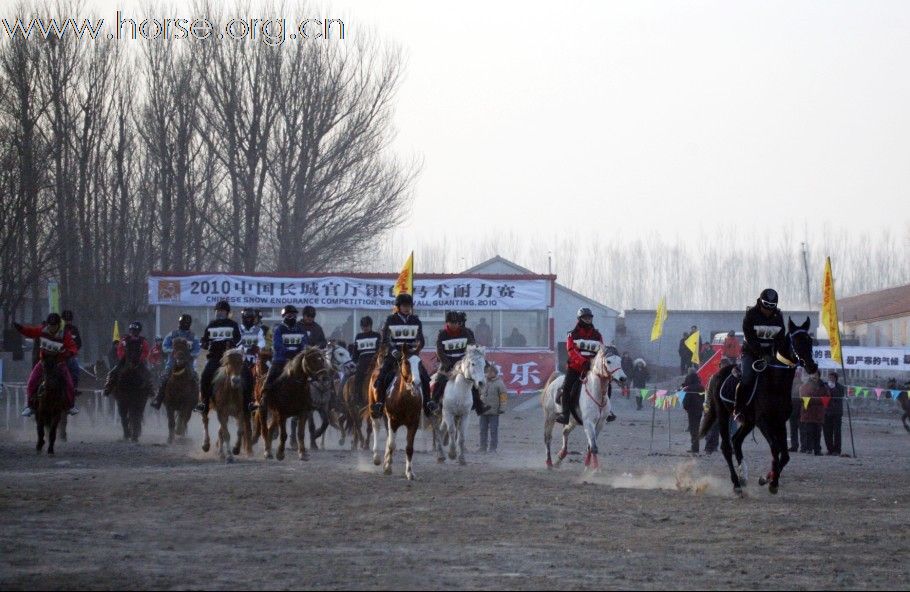 清心山马术俱乐部出征2010年耐力赛日志（18日）