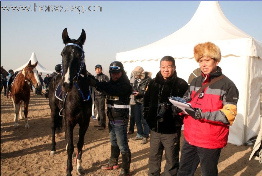清心山马术俱乐部出征2010年耐力赛日志（18日）