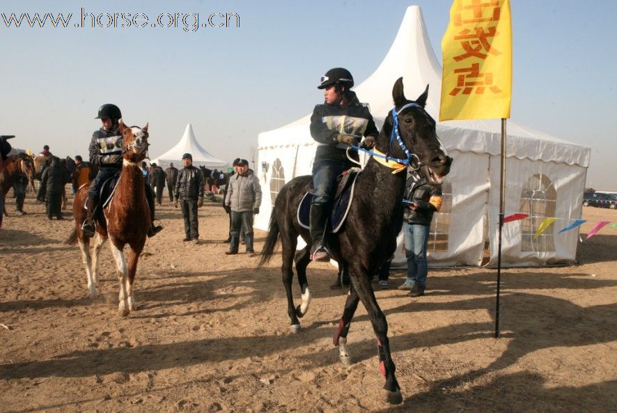 清心山马术俱乐部出征2010年耐力赛日志（18日）