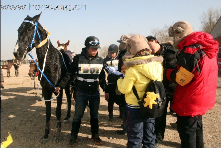 清心山马术俱乐部出征2010年耐力赛日志（18日）