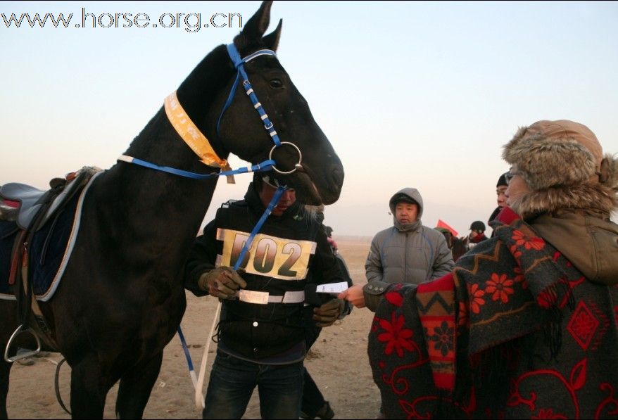 清心山马术俱乐部出征2010年耐力赛日志（18日）