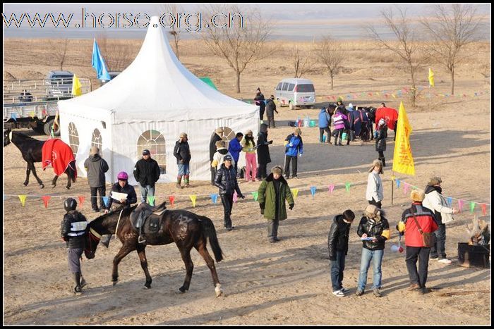 【图】银色马术耐力赛 ☆ 比赛实况、颁奖典礼