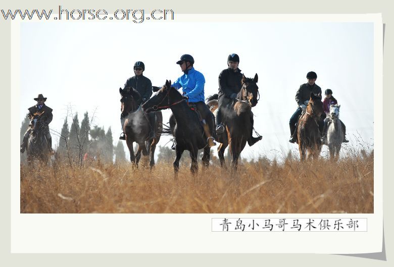 2010登程&#8226;骏马驰骋摄影比赛