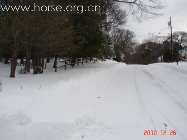 丰年好大雪