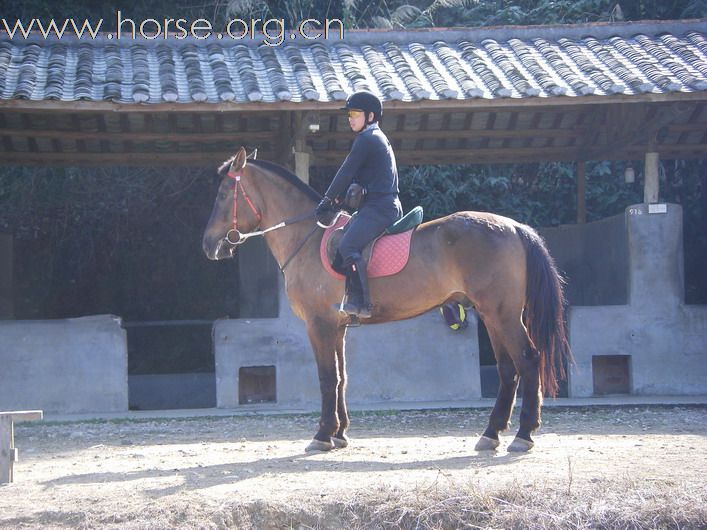 12月26日 Boxing Day 東莞清溪大皇山野騎之旅