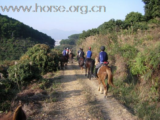 12月26日 Boxing Day 東莞清溪大皇山野騎之旅