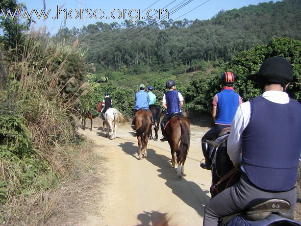 12月26日 Boxing Day 東莞清溪大皇山野騎之旅