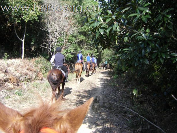 12月26日 Boxing Day 東莞清溪大皇山野騎之旅