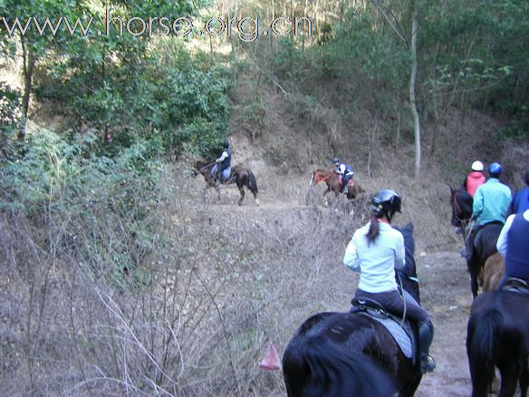 12月26日 Boxing Day 東莞清溪大皇山野騎之旅