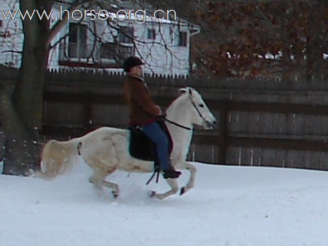 丰年好大雪