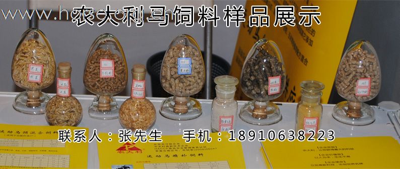 供应马饲料 (马驹、母马、赛马、运动马)