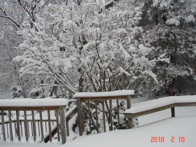 下雪，下雪，