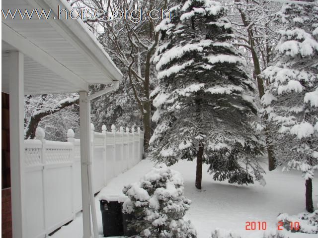 下雪，下雪，