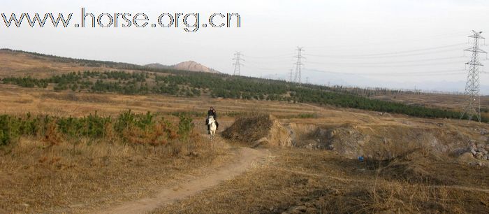 春节“宅”在家不如骑马去！