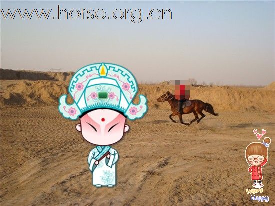 野骑之王