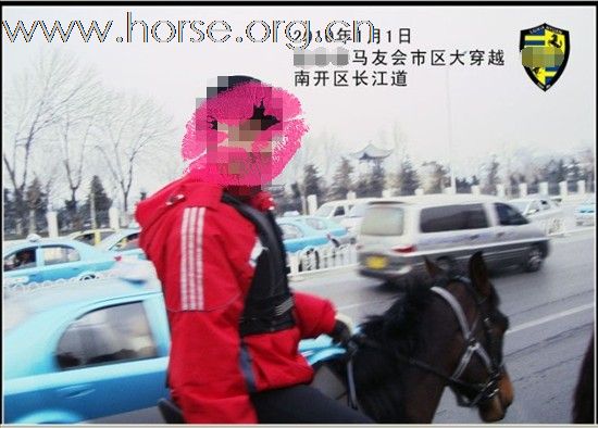 野骑之王