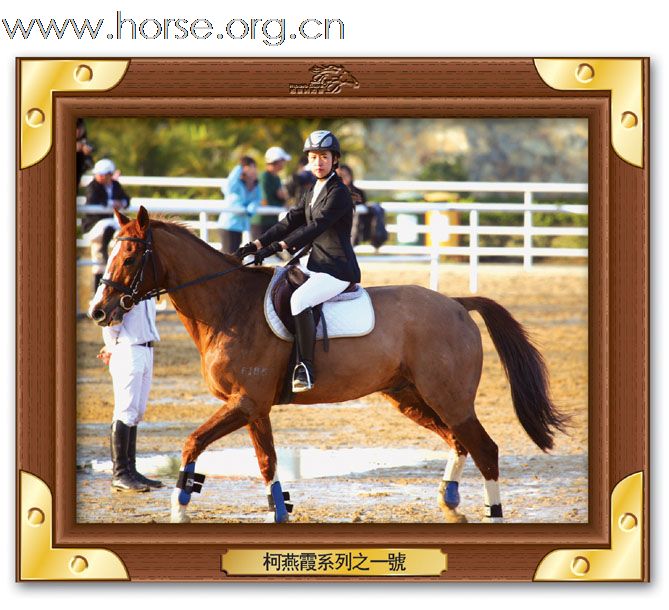 晓光手记：直击广东省2010年第一届柏骏马术场地障碍邀请赛(三)